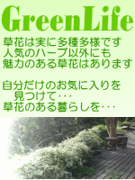 草花は実に多種多様です 人気のハーブ以外にも魅力のある草花はあります 自分だけのお気に入りを見つけて草花のある暮らしを始めましょう