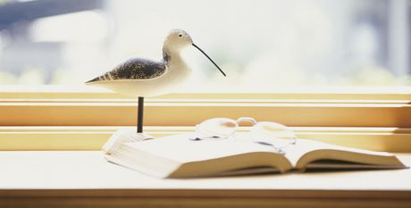 たくさんの大切な本に囲まれて過ごすことができる家