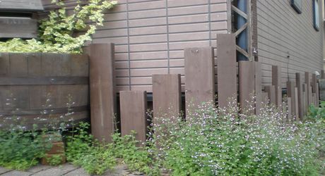 エントランス 玄関アプローチが素敵な家