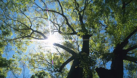 サンルームで開放的な空間
